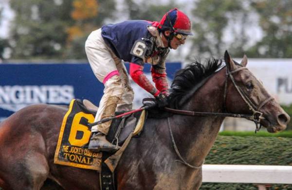 Payout Odds on Tonalist to Win the 2015 Breeders Cup Classic