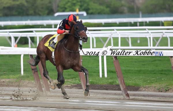 Can Tonalist Win the Breeders Cup Classic?