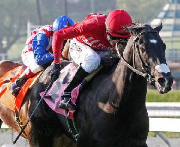 Pasadena Stakes 2012 Odds – Santa Anita Park Race 7