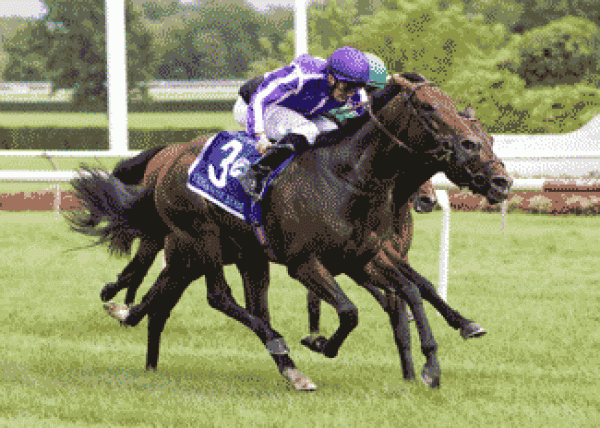 Man oWar Stakes 2012 Betting Odds Man oWar Stakes 2012 Betting Odds