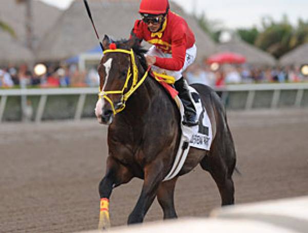 Trinniberg Odds to Win the 2012 Kentucky Derby