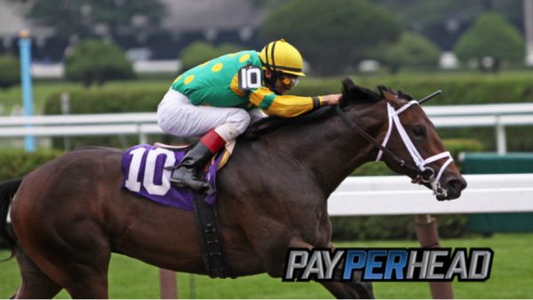 Get a Pay Per Head Software Free For 3 Weeks During Triple Crown