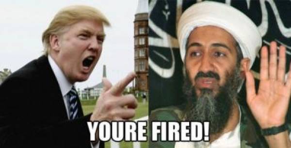 Celebrity Apprentice Bin Laden Celebrity Apprentice Bin Laden