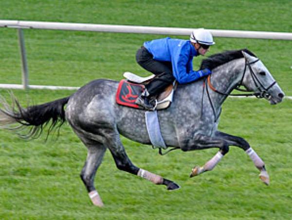 Turf Classic Stakes 2012 Betting Odds