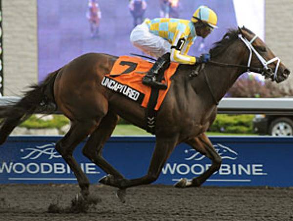 Blue Grass Stakes 2013 Odds Blue Grass Stakes 2013 Odds