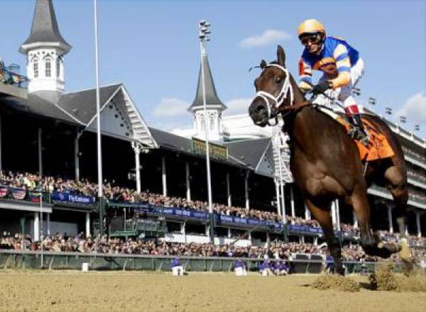 Breeders Cup Classic 2011 Post Positions