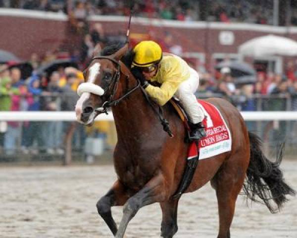 Union Rags Odds to Win 2012 Kentucky Derby at 5 to 1