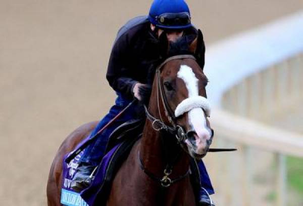Union Rags Easily Wins Fountain of Youth:  Likely New Favorite to Win Derby