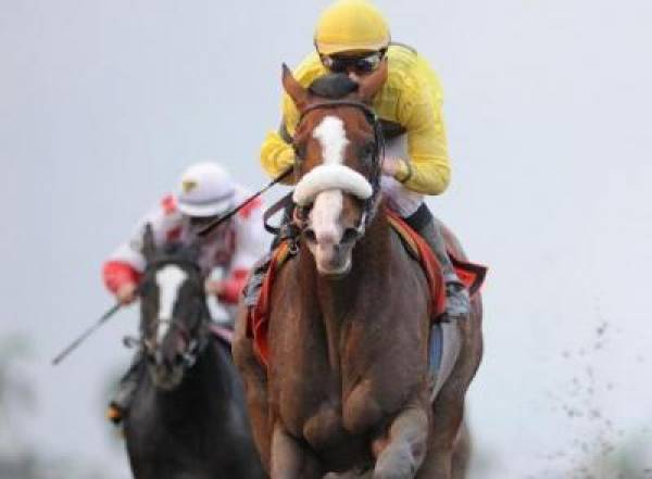 Union Rags Kentucky Derby Odds Back Up To +450