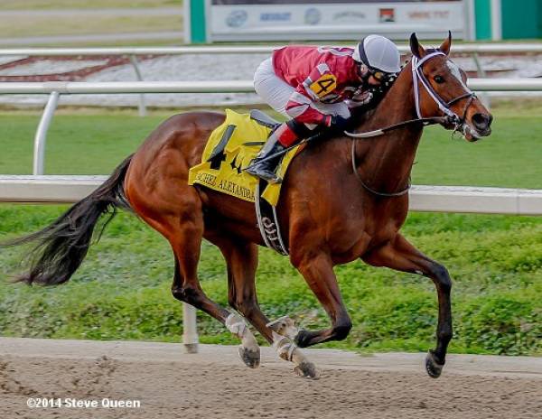 Odds to Win the 2014 Kentucky Oaks: Untapable the Runaway Favorite 