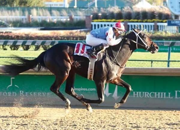 Untrapped Odds of Winning the 2017 Kentucky Derby 