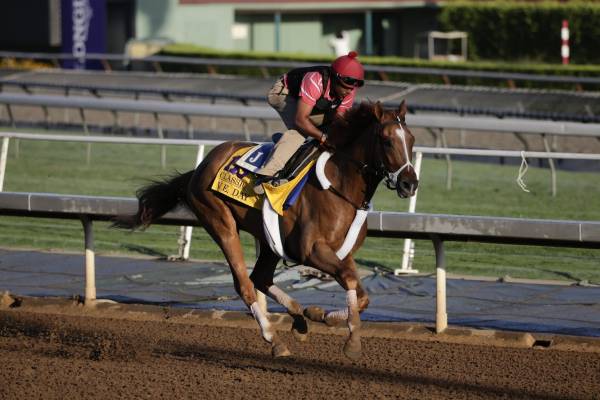 Breeders Cup Classic Betting Picks: V.E. Day