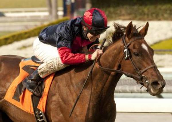 Santa Barbara Handicap 2012 Betting Odds (Video) Santa Barbara Handicap 2012 Betting Odds (Video)