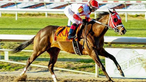 Risen Star Stakes 2014 Betting Odds: Where to Bet Online