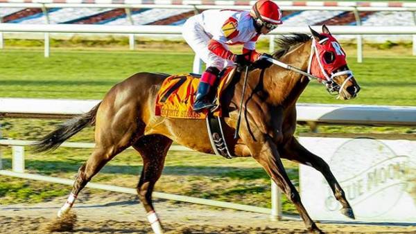 Risen Star Stakes 2014 Betting Odds: Where to Bet Online Risen Star Stakes 2014 Betting Odds: Where to Bet Online