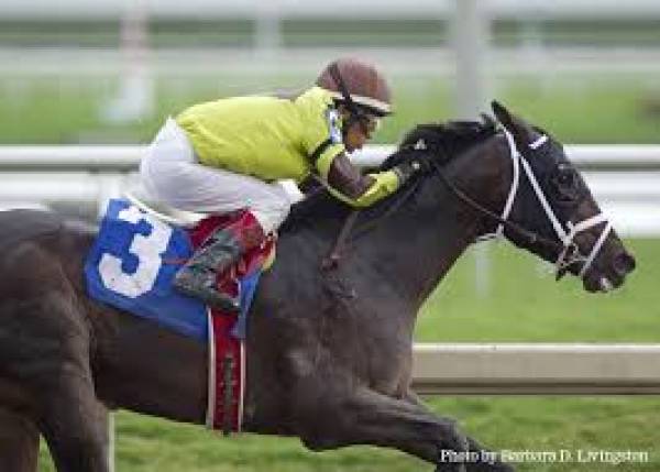 2014 Kentucky Derby Long Shots That Could Win 2014 Kentucky Derby Long Shots That Could Win