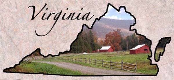 Bookie Profit Index: Virginia