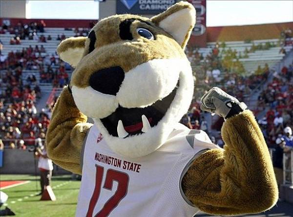 Bet the Washington State Cougars vs. Cal Week 10 Game Online 