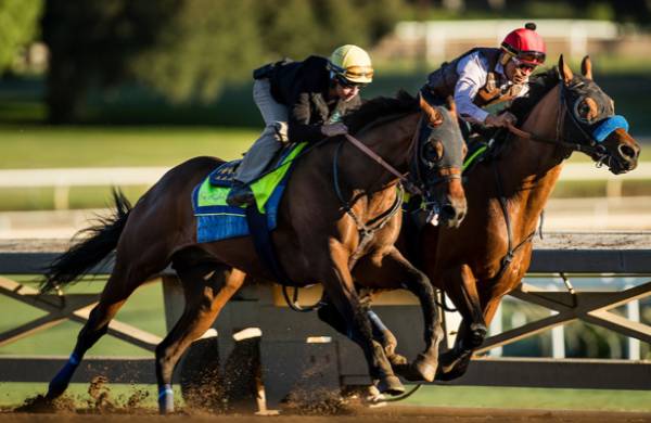 West Coast Breeders Cup Odds