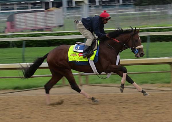 Wicked Strong Kentucky Derby Odds – Best Payout at Nearly 10-1