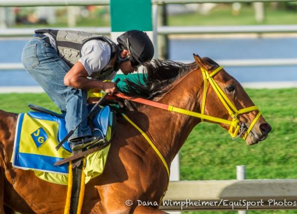 Wildcard Red Odds to Win the Kentucky Derby:  Best Post Position in the Race