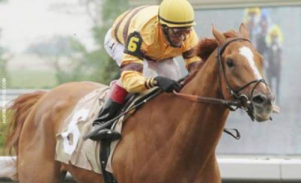2012 Woodbine Mile Betting Odds 2012 Woodbine Mile Betting Odds