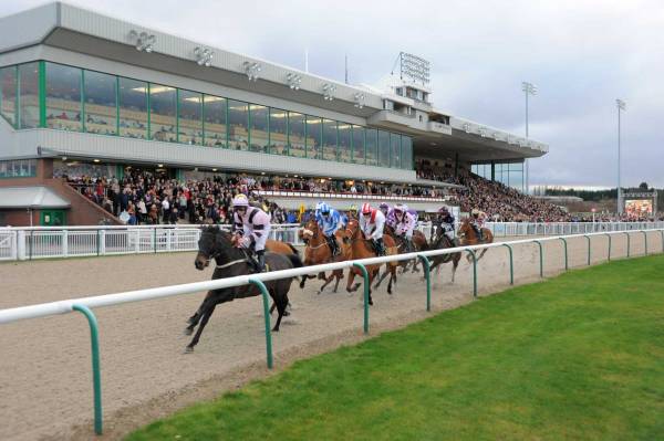 What is a Good Online Race Book for Betting on Wolverhampton Races 