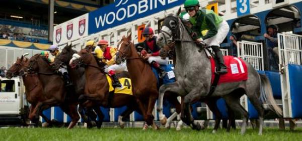 2016 Woodbine Mile Betting Odds 