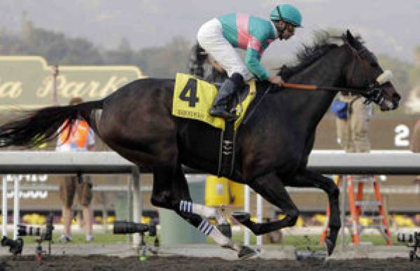 Zenyatta 2010 Breeders’ Cup Classic Odds 