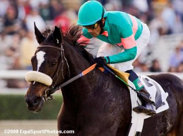 2009 Breeders Cup Odds 2009 Breeders Cup Odds