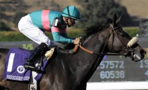 Zenyatta Best Breeder’s Cup Odds