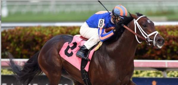 Blue Grass Stakes 2016 Odds to Win:  Zulu Favorite to Win    