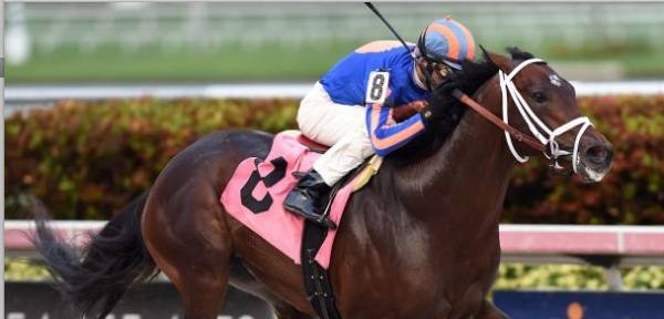 Blue Grass Stakes 2016 Odds to Win: Zulu Favorite to Win Blue Grass Stakes 2016 Odds to Win: Zulu Favorite to Win
