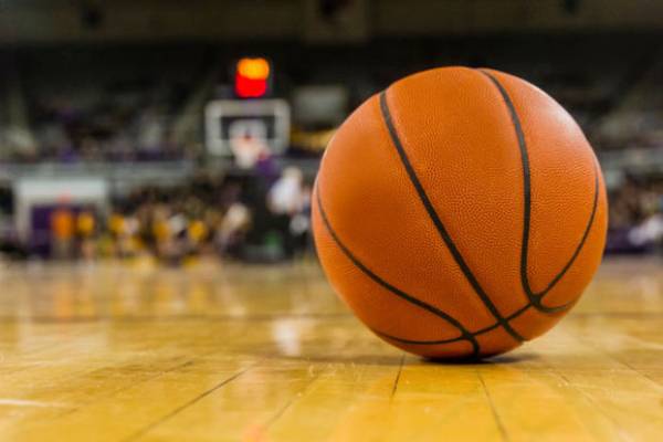 Live Betting for College Basketball the Premier Pay Per Head Way