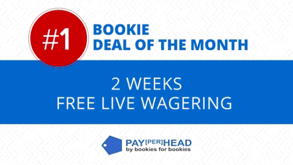 Price per head, price per head platform, online bookie, live wagering Price per head, price per head platform, online bookie, live wagering