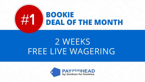 Price per head, price per head platform, online bookie, live wagering