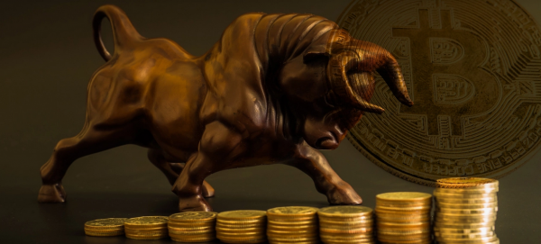 No Retail Crypto-Wide Bull Run Likely for Rest of 2020
