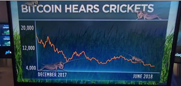 Bitcoin Hears Crickets: Drops Back Below $5000