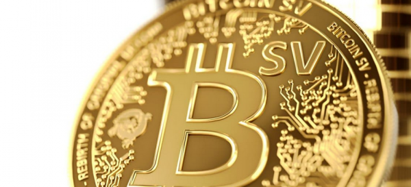 The Bitcoin White Paper: Alert Key
