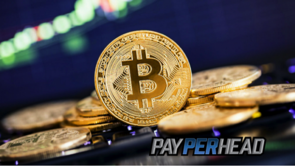 Bitcoin And Offshore Betting: Why It Matters To Online Bookie Agents