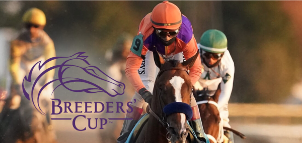 Where Can I Bet The Breeders Cup Online From California?