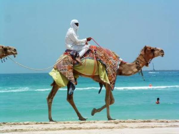 dubai dubai