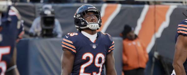 Payout for Those Who Bet the Bears Early to Win the 2018 NFC North 