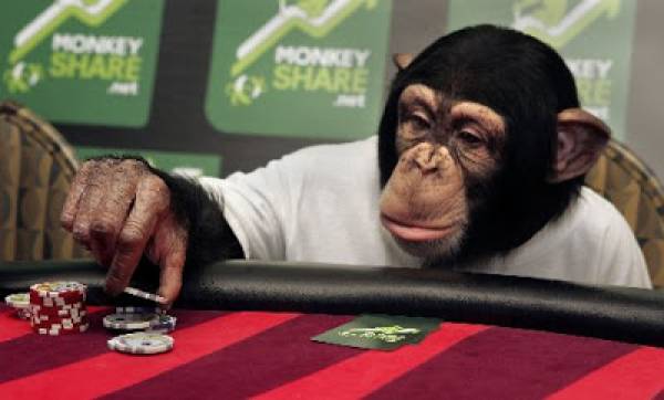 Top Gambling News:  Gambling Chimps Sore Losers, DOJ Can Sell UB.com Assets