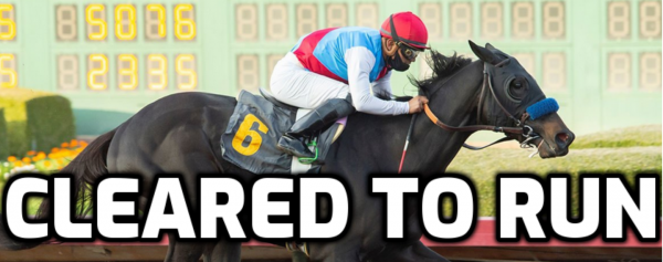 Preakness Stakes Odds 2021 After The Post Position Draw