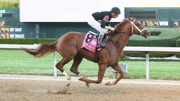 What Are the Payout Odds for Cyberknife to Win the Kentucky Derby? 