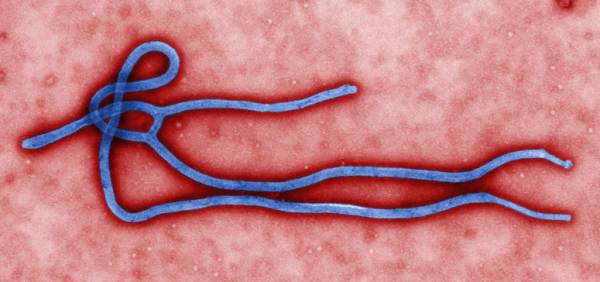 Man Charged for Telling Casino Worker He was ‘Gambling to Avoid Ebola-Stricken W