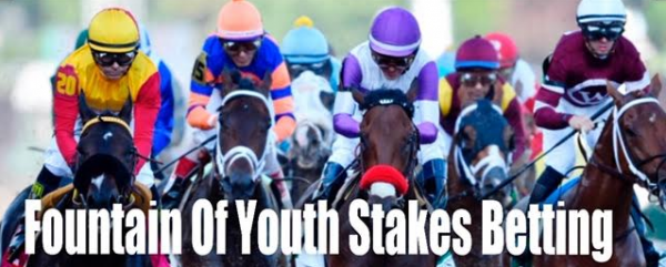 Odds to Win the 2020 Fountain of Youth Stakes 
