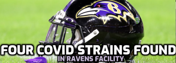 At Least Four Covid Strains Found at Ravens Facility 