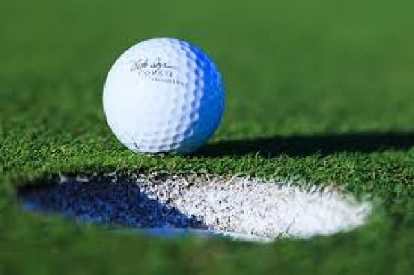 Bookie Customized Odds 2017 PGA Championship